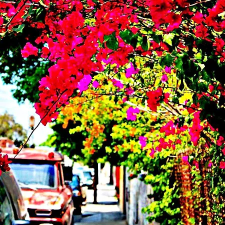 Motel Malaga Holidays Rincon de la Victoria